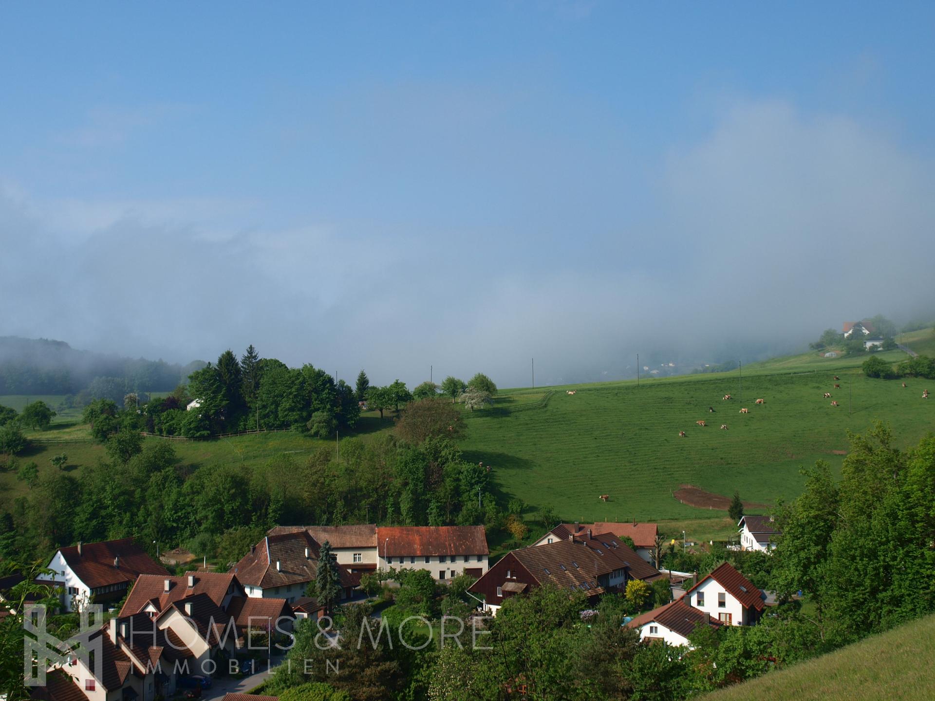Ausblick